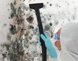 Why You Should Choose Our Mold Remediation Services in Avenal, CA